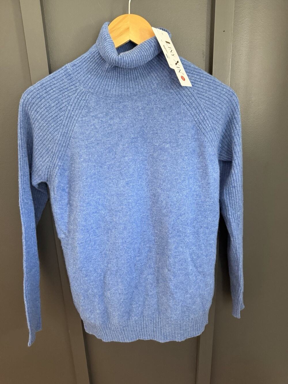 Liny Xin Womens Small 100% Pure Superfine Merino Wool Turtleneck Sweater Blue